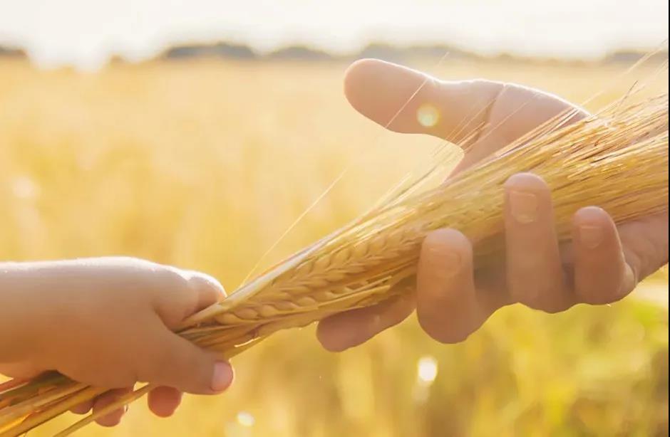 派克漢尼汾加入國際氫能委員會 助力加快推進清潔能源解決方案部署